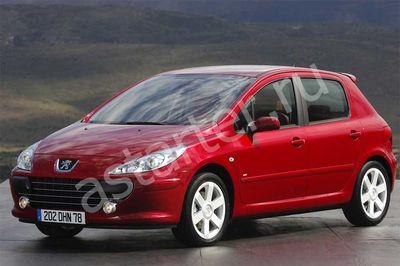 Ремонт стартера Peugeot 307, Купить стартер Peugeot 307